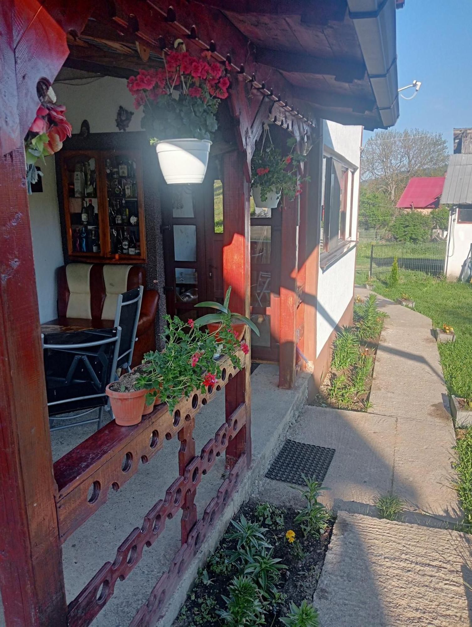 Casa Vasy Guest House Vatra Dornei Exterior photo