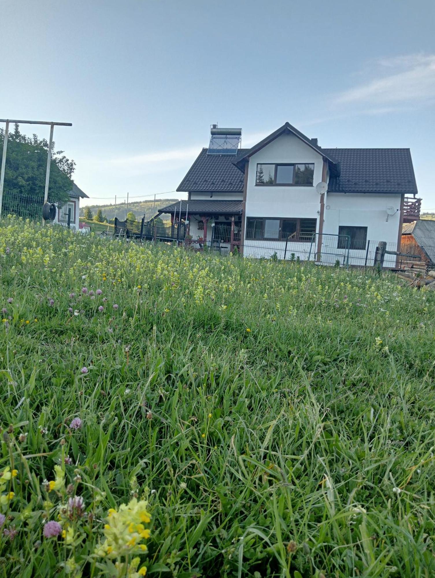 Casa Vasy Guest House Vatra Dornei Exterior photo