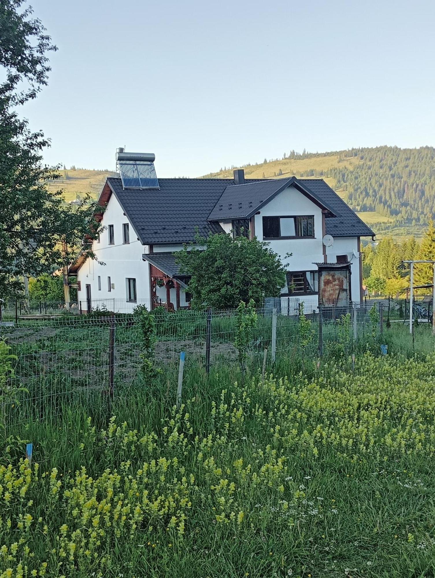 Casa Vasy Guest House Vatra Dornei Exterior photo